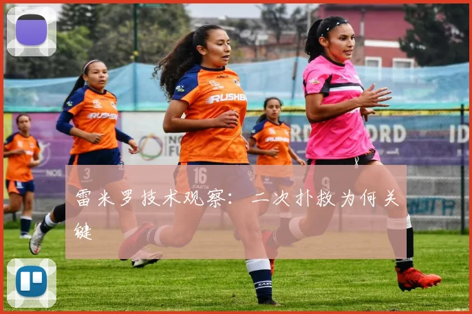 雷米罗技术观察：二次扑救为何关键