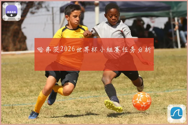 哈弗茨2026世界杯小组赛任务分析