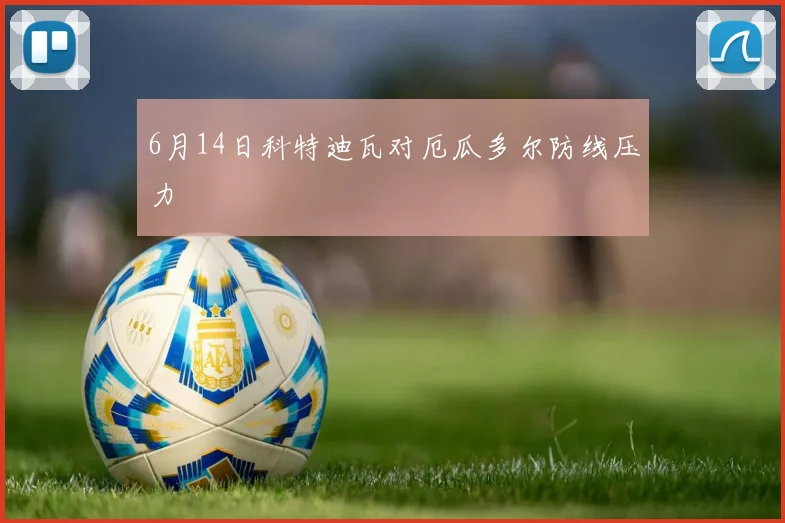 6月14日科特迪瓦对厄瓜多尔防线压力