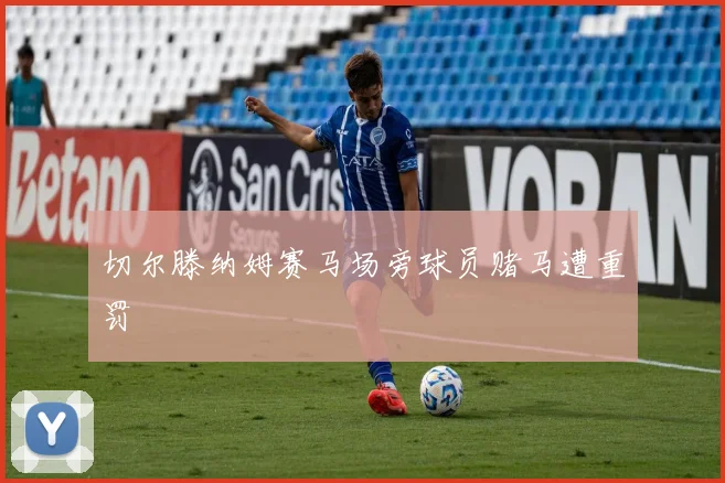切尔滕纳姆赛马场旁球员赌马遭重罚
