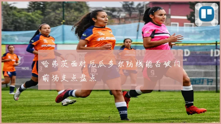 哈弗茨面对厄瓜多尔防线能否破门前场支点盘点