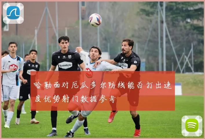 哈勒面对厄瓜多尔防线能否打出速度优势射门数据参考