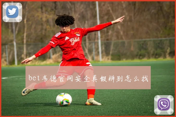 bet韦德官网安全真假辨别怎么找