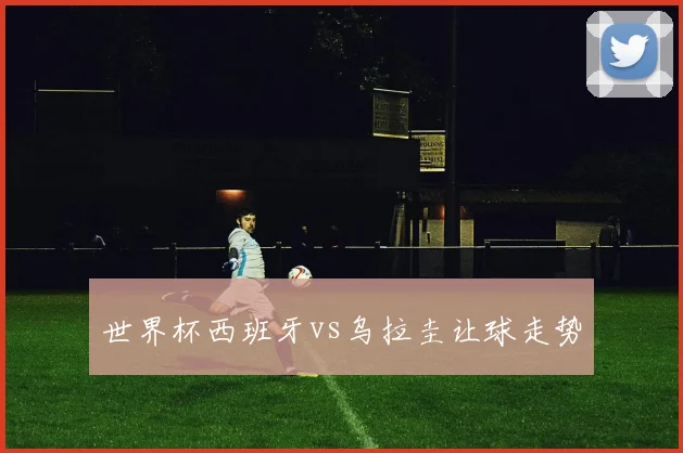 世界杯西班牙vs乌拉圭让球走势