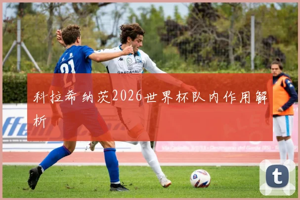 科拉希纳茨2026世界杯队内作用解析