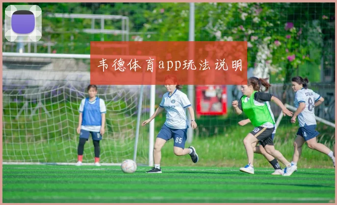 韦德体育app玩法说明
