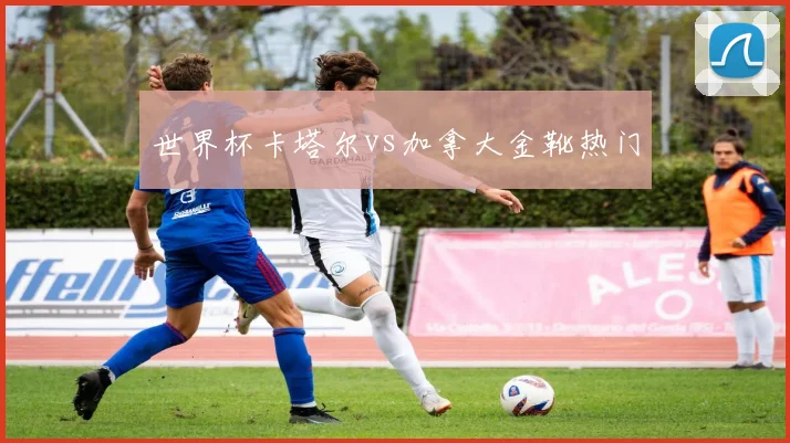 世界杯卡塔尔vs加拿大金靴热门